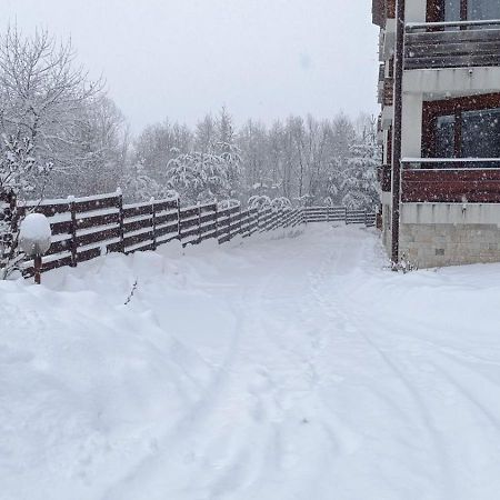 Apartment Detelina Residence Bansko Exterior photo