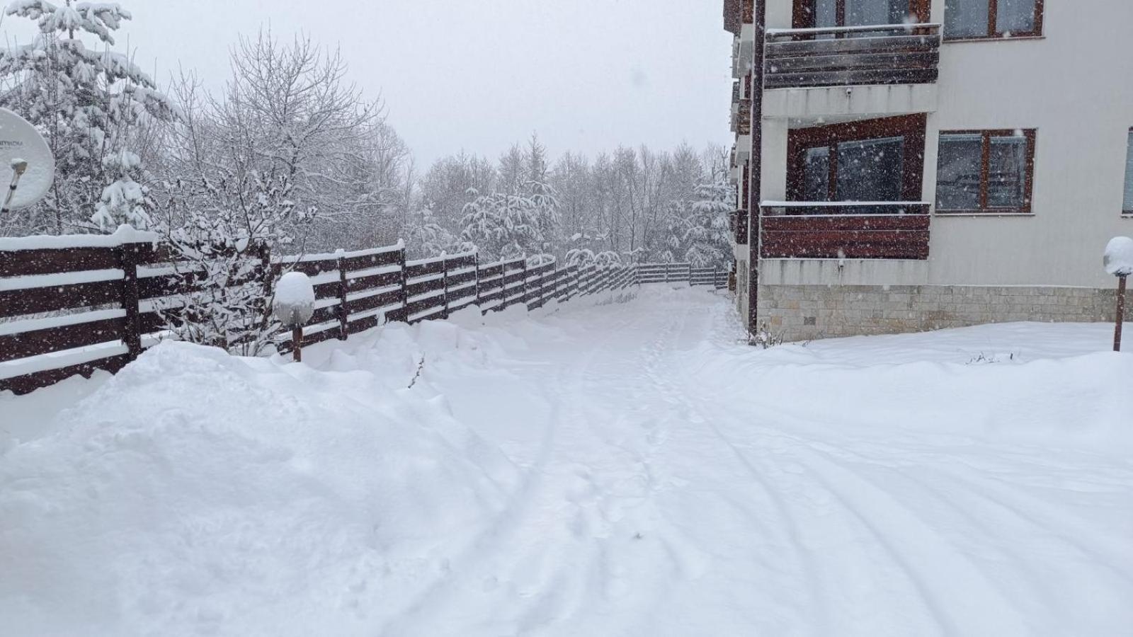 Apartment Detelina Residence Bansko Exterior photo
