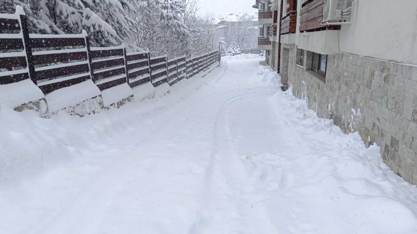 Apartment Detelina Residence Bansko Exterior photo
