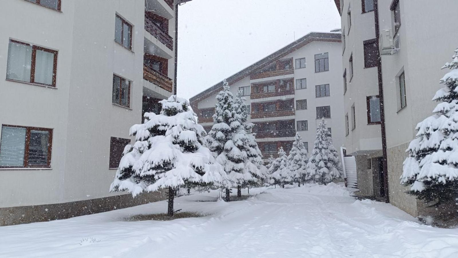 Apartment Detelina Residence Bansko Exterior photo