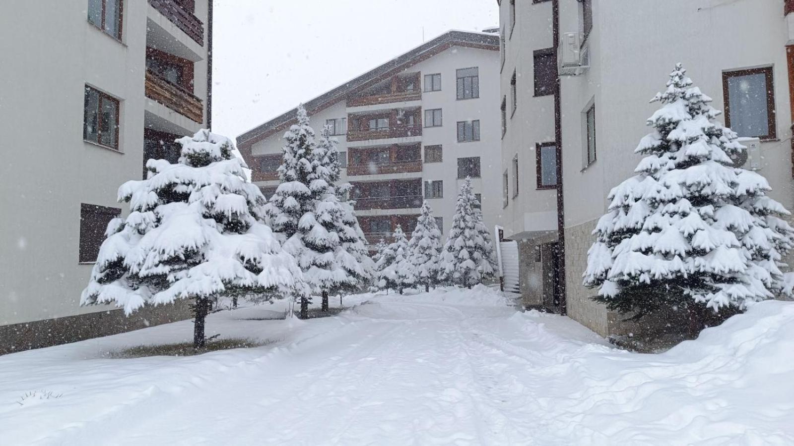 Apartment Detelina Residence Bansko Exterior photo