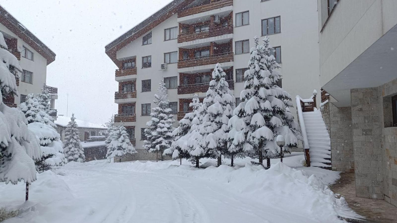 Apartment Detelina Residence Bansko Exterior photo
