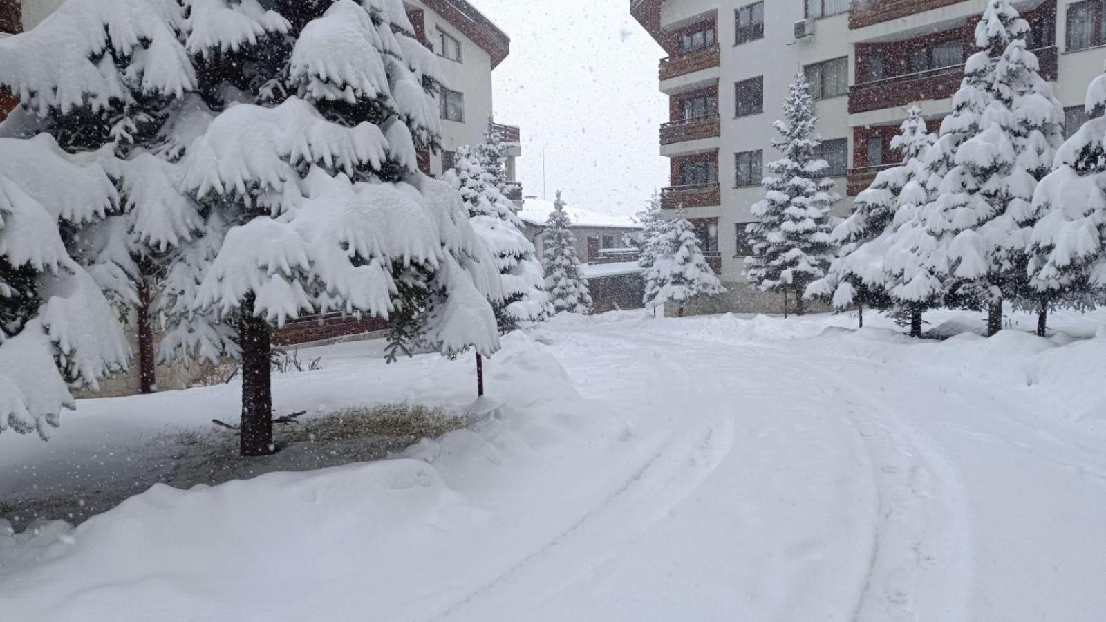 Apartment Detelina Residence Bansko Exterior photo