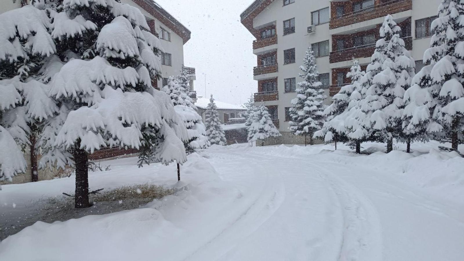 Apartment Detelina Residence Bansko Exterior photo