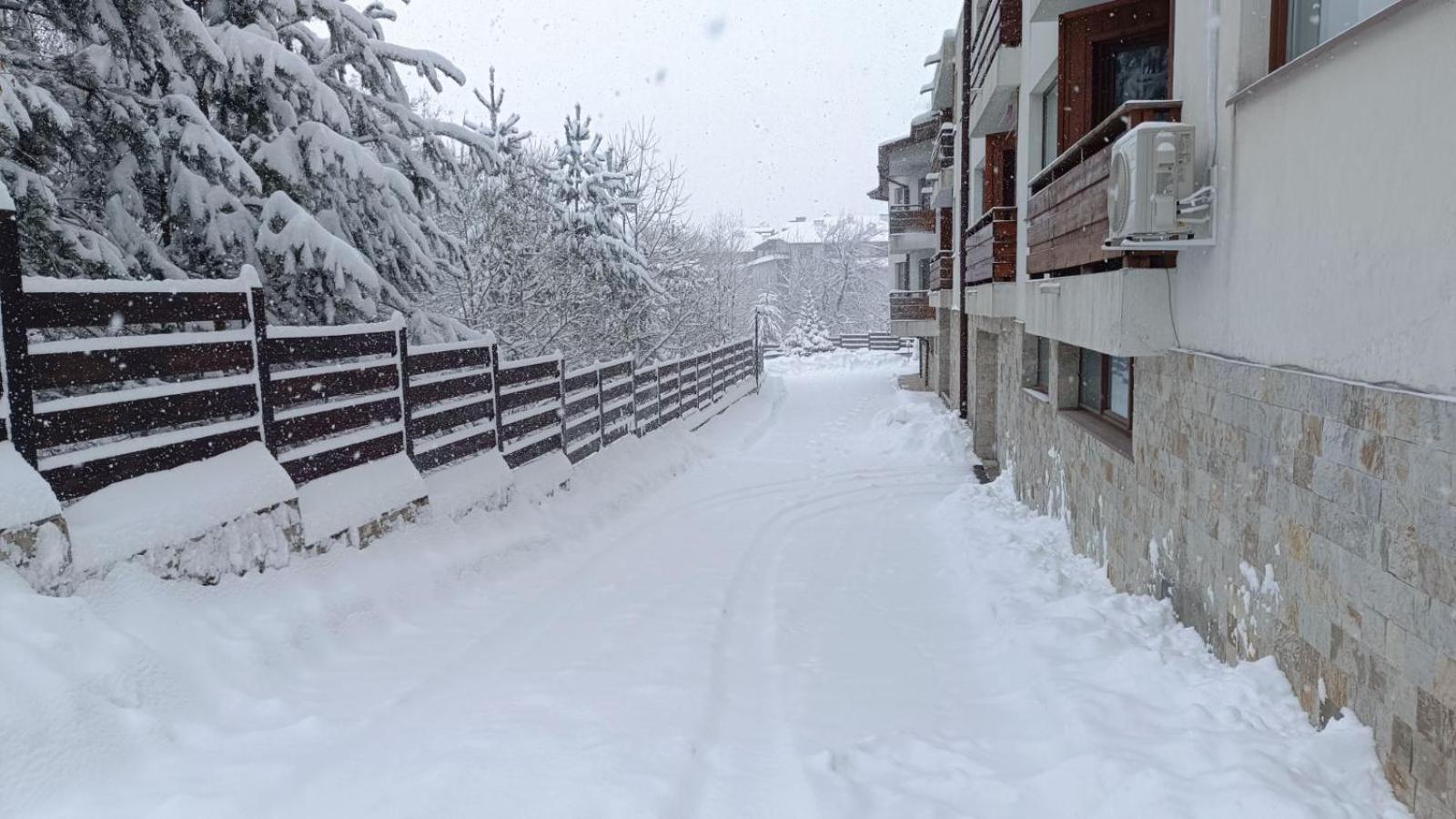 Apartment Detelina Residence Bansko Exterior photo
